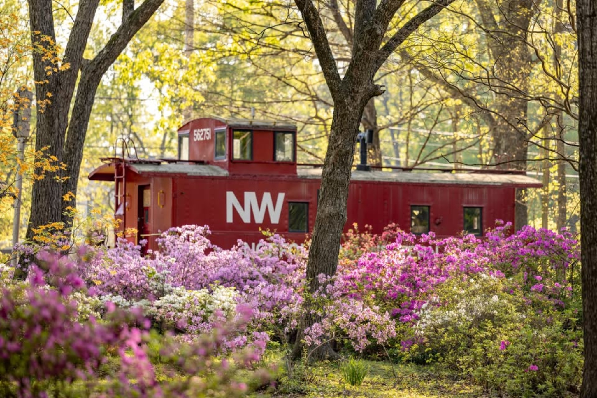 Germantown Tennessee train depot park caboose surrounded by spring flowers
